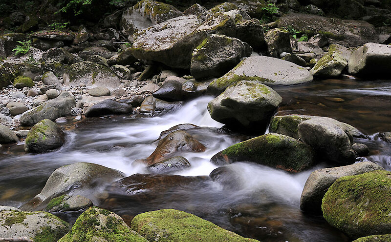 Buchberger Leite im Bayerischen Wald